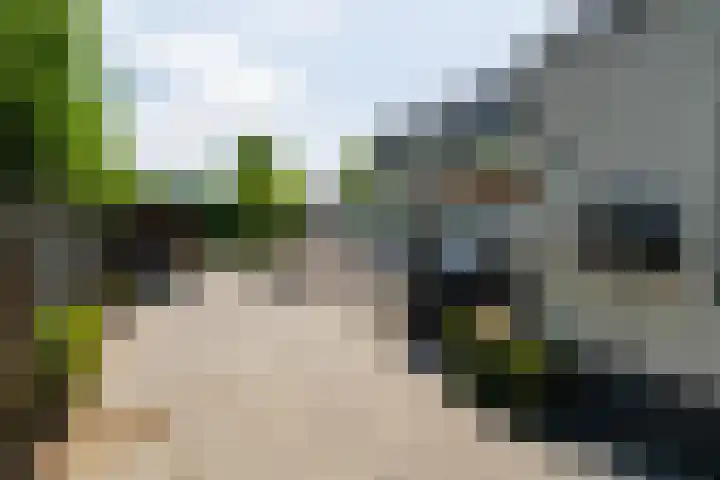 Buitendijk 70 Hank thumbnail 50