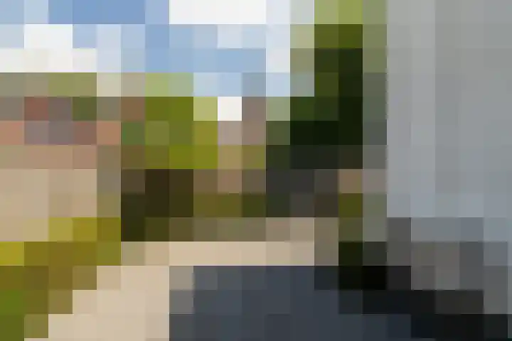 Buitendijk 70 Hank thumbnail 53
