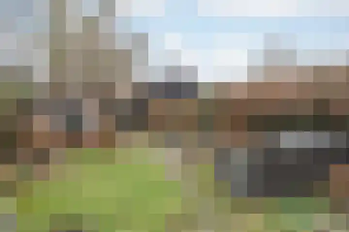 Buitendijk 71 Hank thumbnail 35