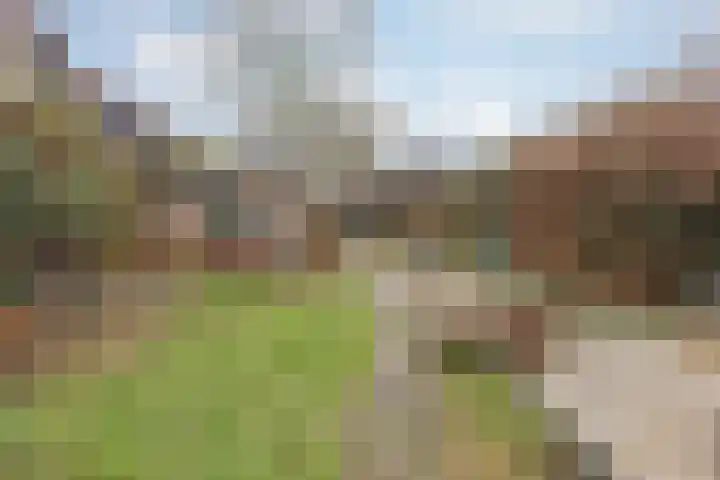 Buitendijk 71 Hank thumbnail 36