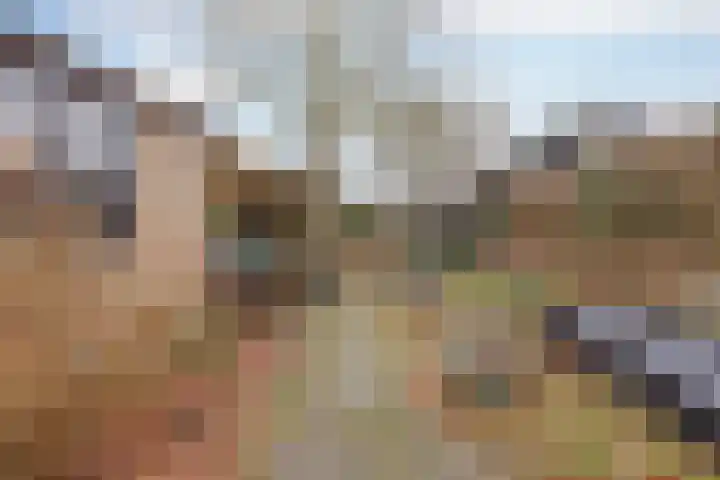 Buitendijk 71 Hank thumbnail 37