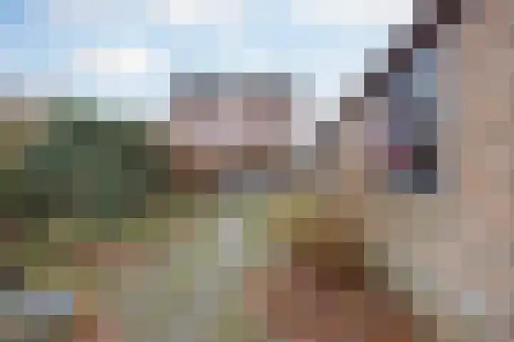 Buitendijk 71 Hank thumbnail 5