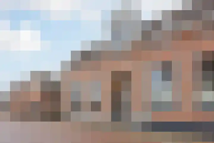 Buitendijk 71 Hank thumbnail 6