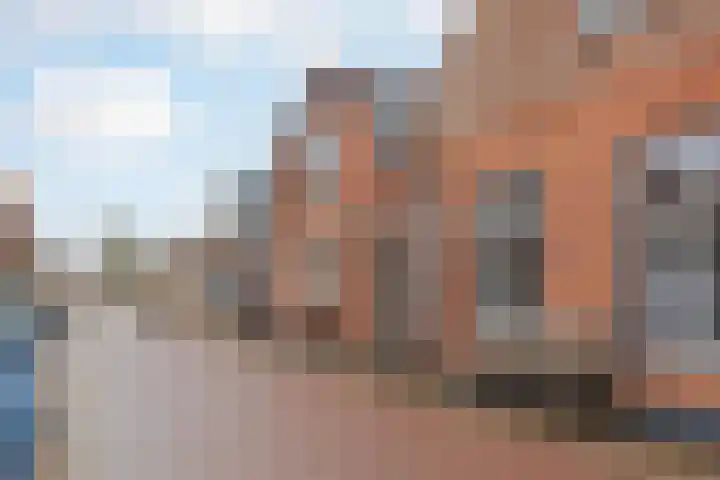 Buitendijk 71 Hank thumbnail 9