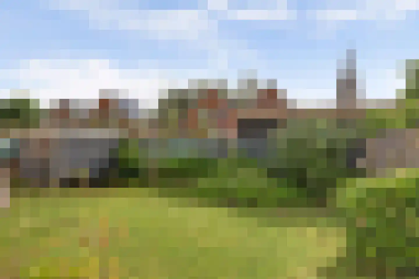 Buitendijk 72 Hank thumbnail 4