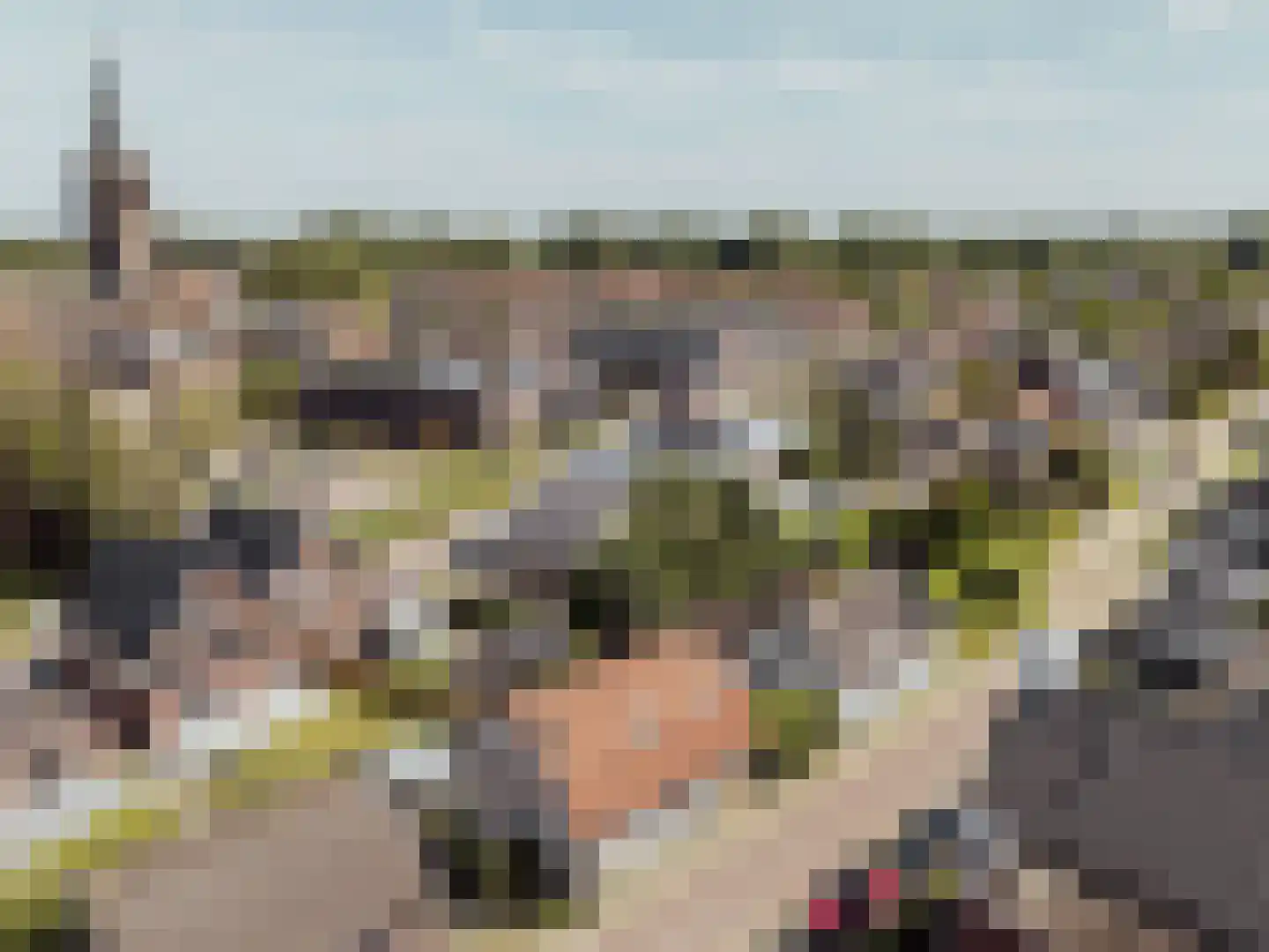 Buitendijk 72 Hank thumbnail 55