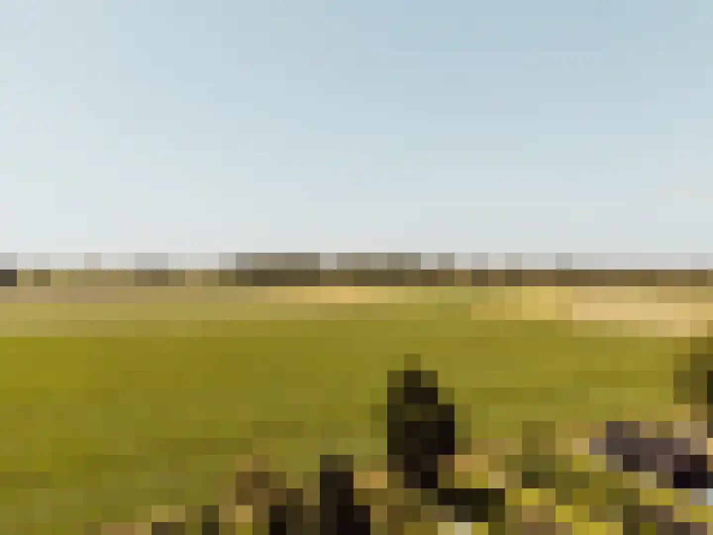 Buitendijk 72 Hank thumbnail 59