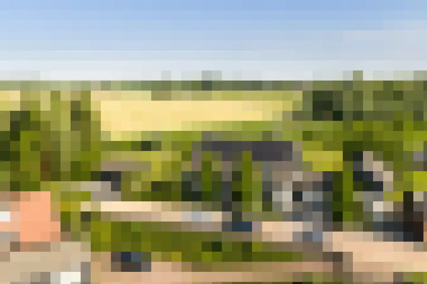 Buitendijk 8 Nieuwendijk thumbnail 105