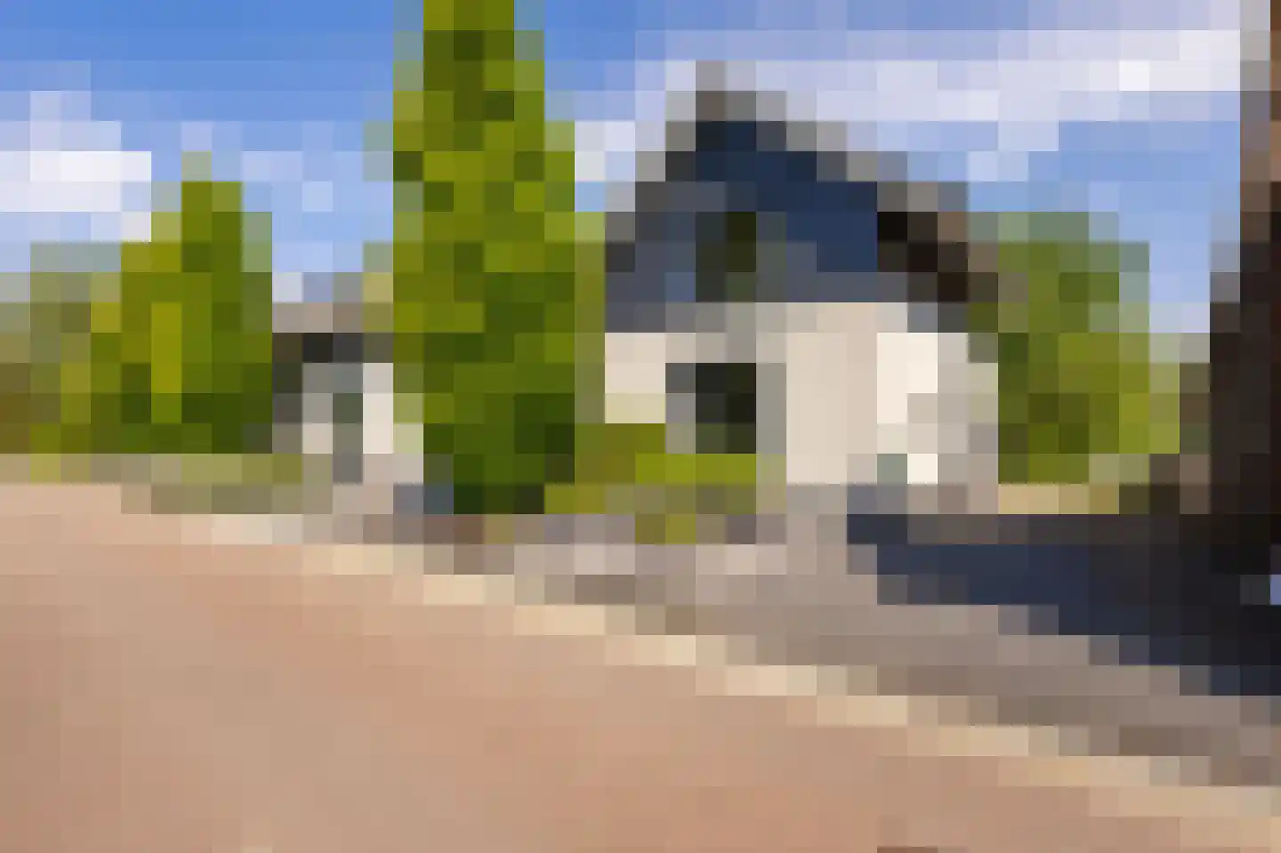 Buitendijk 8 Nieuwendijk thumbnail 11