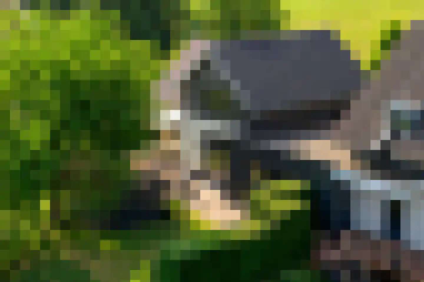 Buitendijk 8 Nieuwendijk thumbnail 110