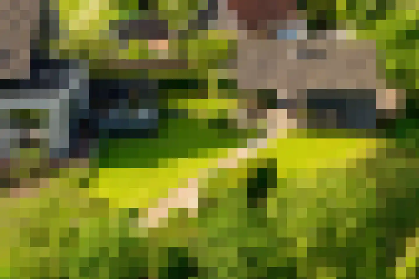 Buitendijk 8 Nieuwendijk thumbnail 116