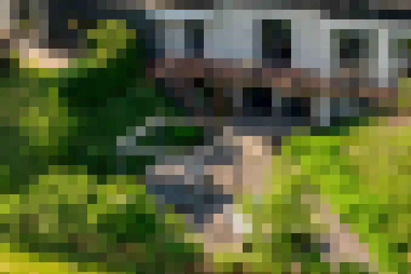 Buitendijk 8 Nieuwendijk thumbnail 117