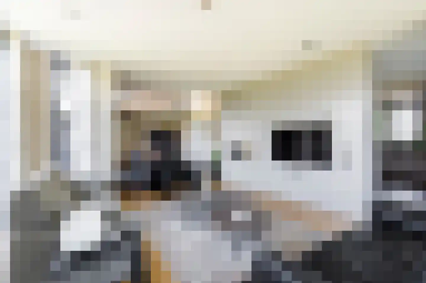 Buitendijk 8 Nieuwendijk thumbnail 21