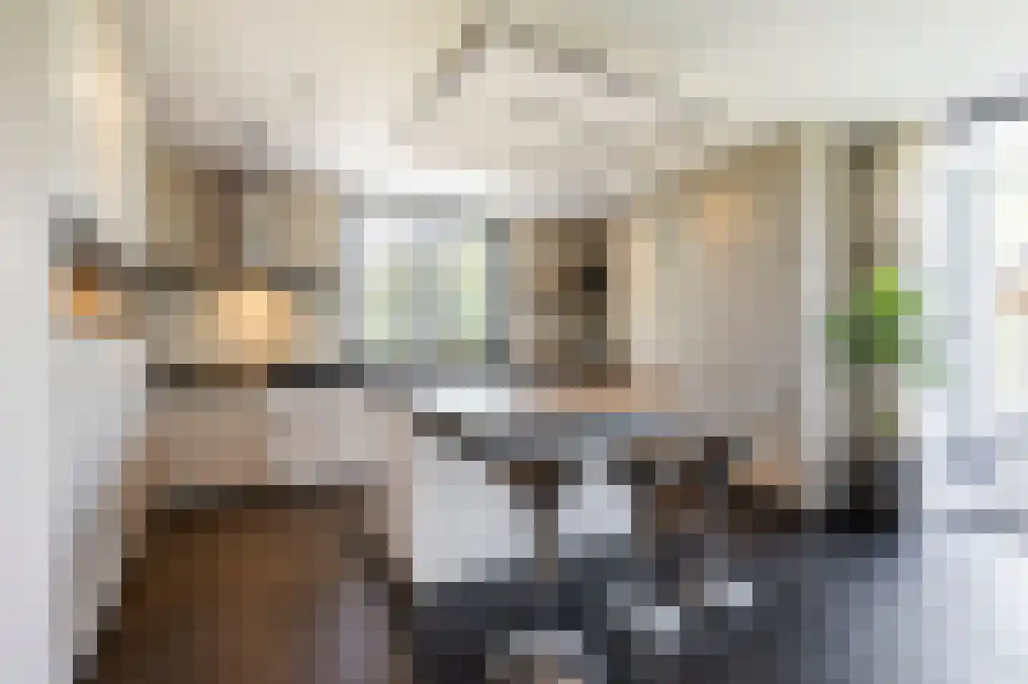 Buitendijk 8 Nieuwendijk thumbnail 24