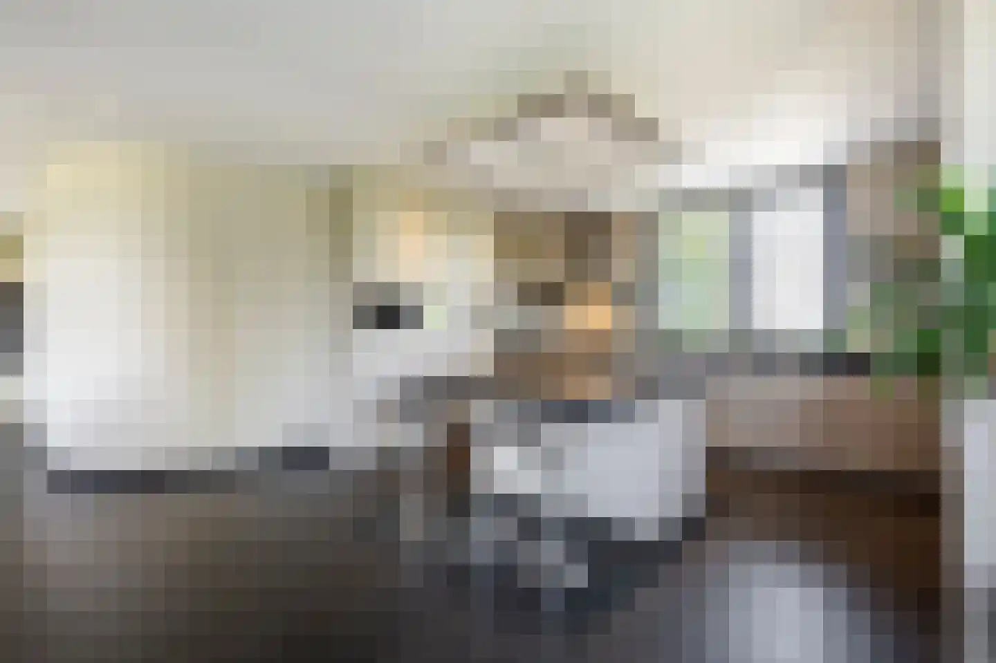 Buitendijk 8 Nieuwendijk thumbnail 25
