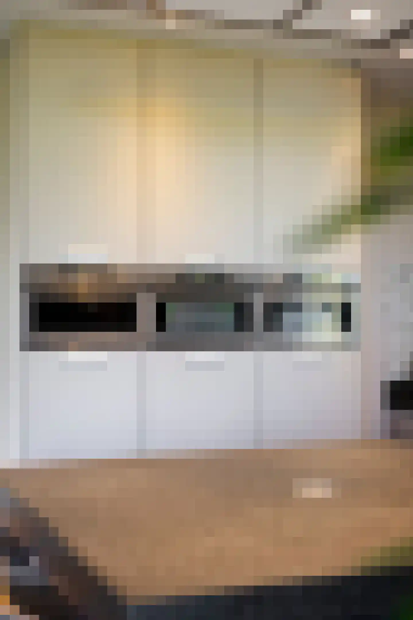 Buitendijk 8 Nieuwendijk thumbnail 31