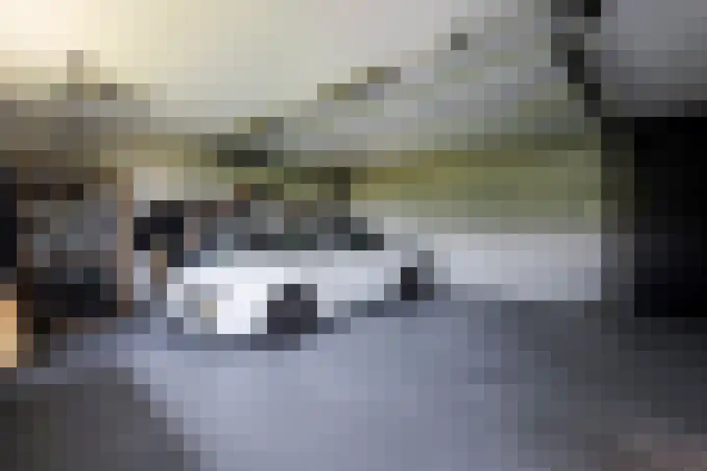 Buitendijk 8 Nieuwendijk thumbnail 35