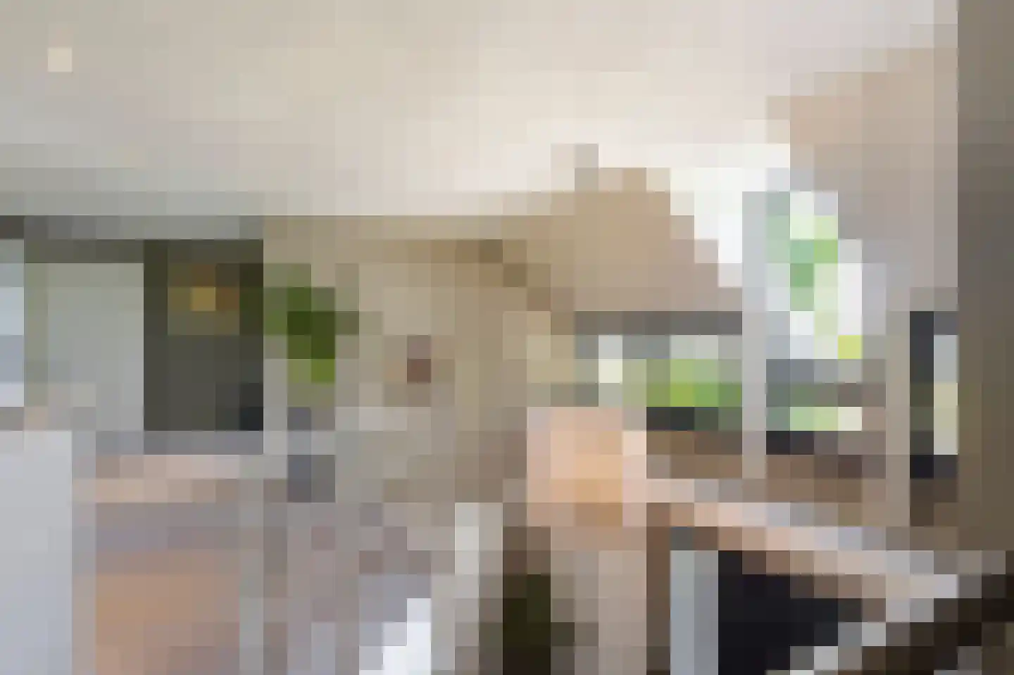 Buitendijk 8 Nieuwendijk thumbnail 51