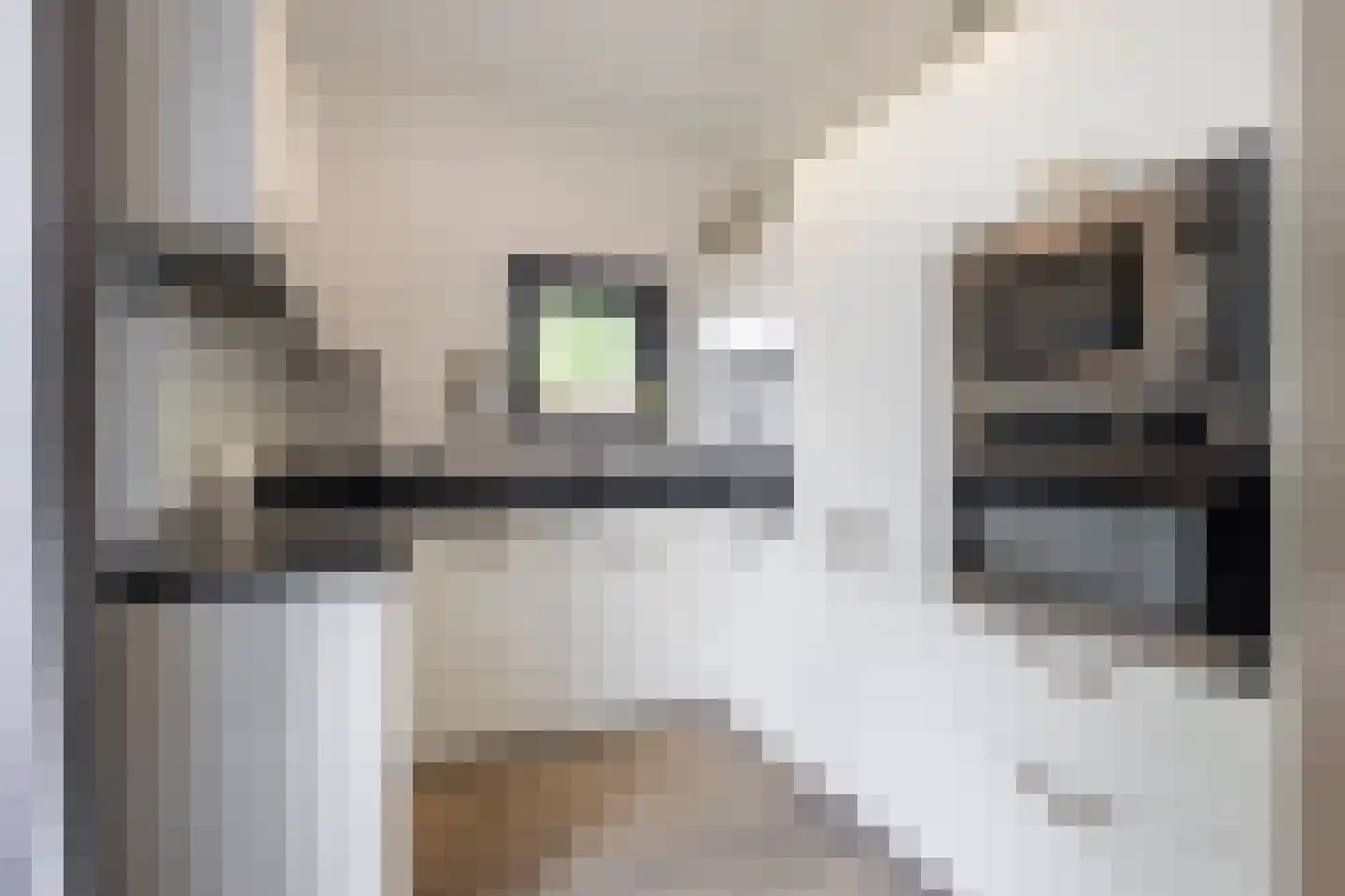 Buitendijk 8 Nieuwendijk thumbnail 74