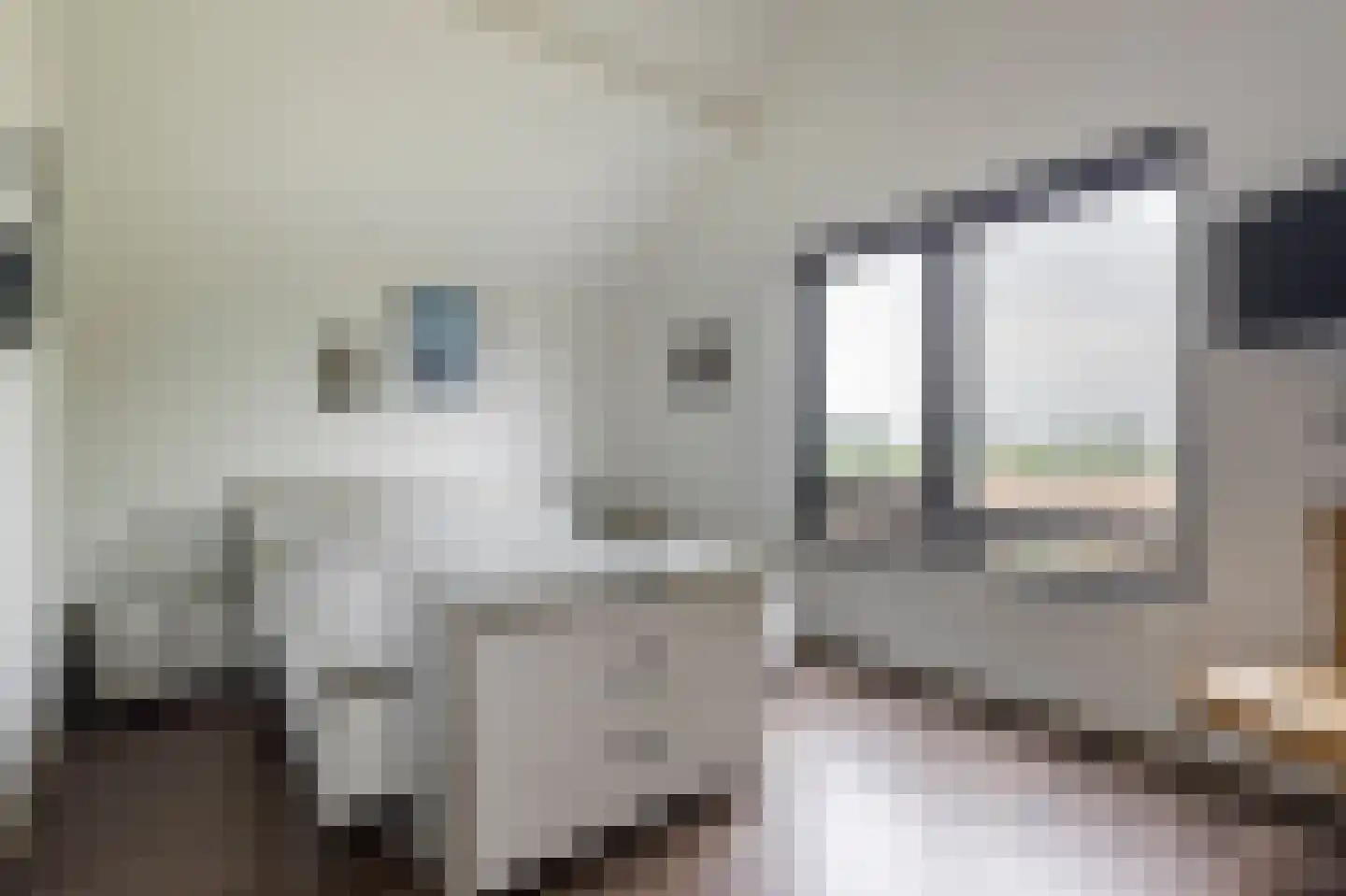 Buitendijk 8 Nieuwendijk thumbnail 82