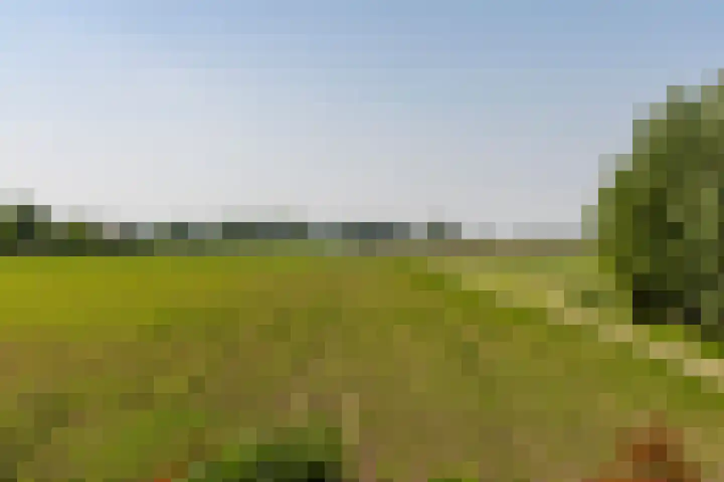Buitendijk 8 Nieuwendijk thumbnail 88