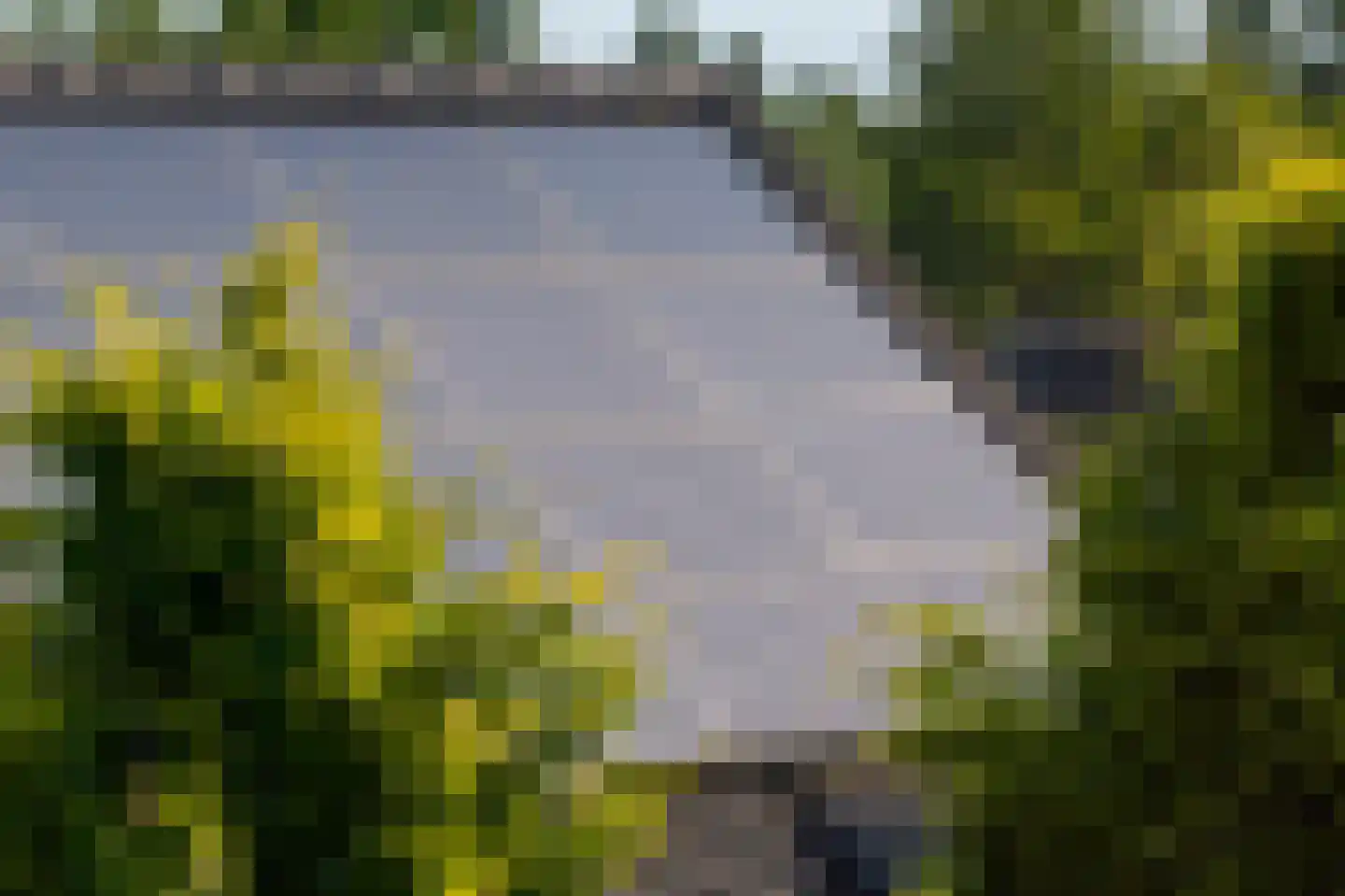 Buitendijk 8 Nieuwendijk thumbnail 91