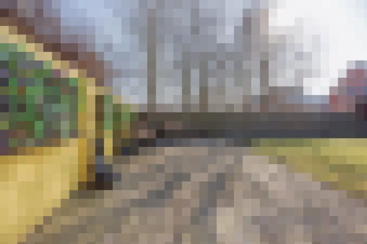 Buitendijk 82 Hank thumbnail 59