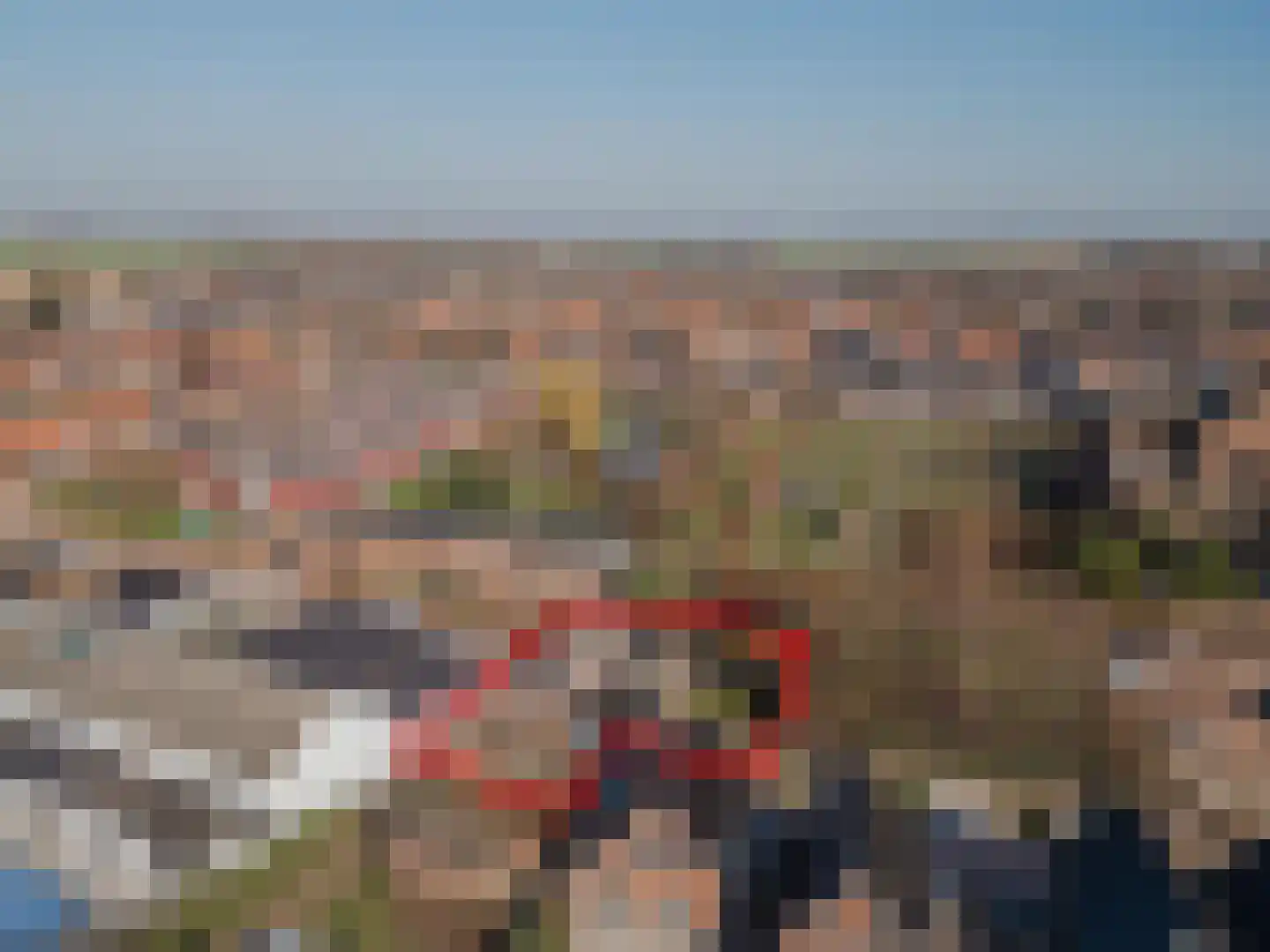 Buitendijk 82 Hank thumbnail 64