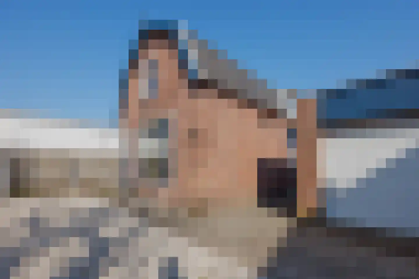 Buitendijk 82 Hank thumbnail 7