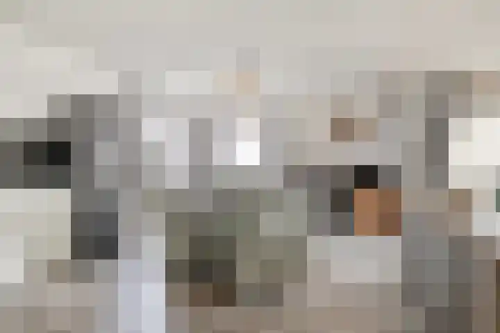 Buitendijklaan 110 Leiderdorp thumbnail 11