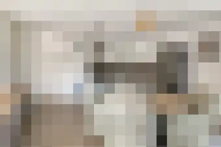 Buitendijklaan 110 Leiderdorp thumbnail 12