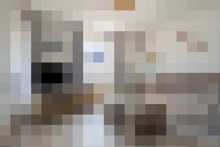 Buitendijklaan 110 Leiderdorp thumbnail 14