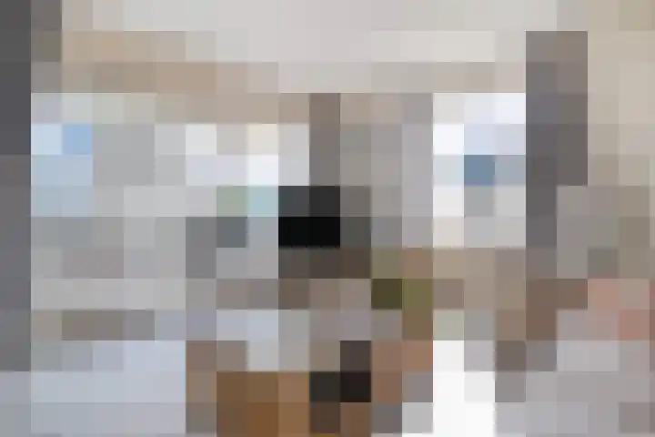 Buitendijklaan 110 Leiderdorp thumbnail 15