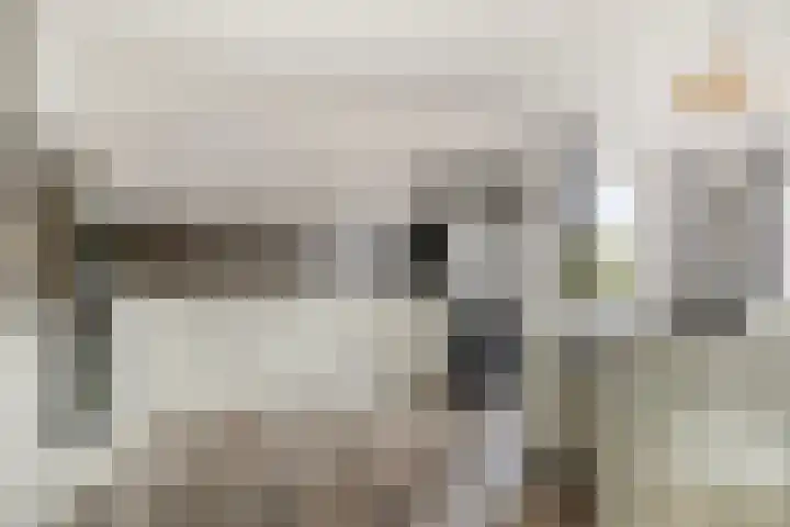 Buitendijklaan 110 Leiderdorp thumbnail 16