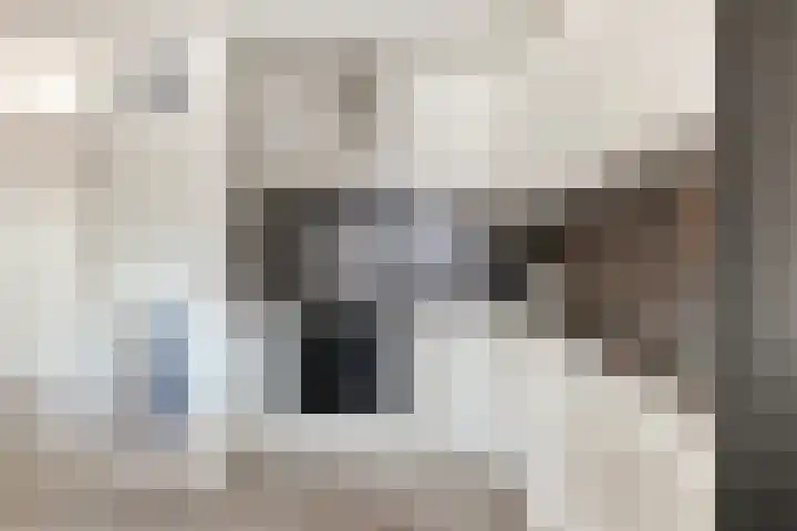 Buitendijklaan 110 Leiderdorp thumbnail 17