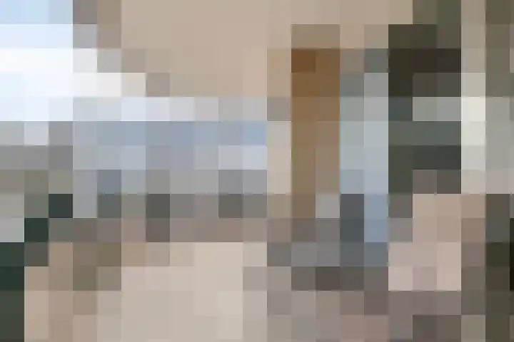 Buitendijklaan 110 Leiderdorp thumbnail 22
