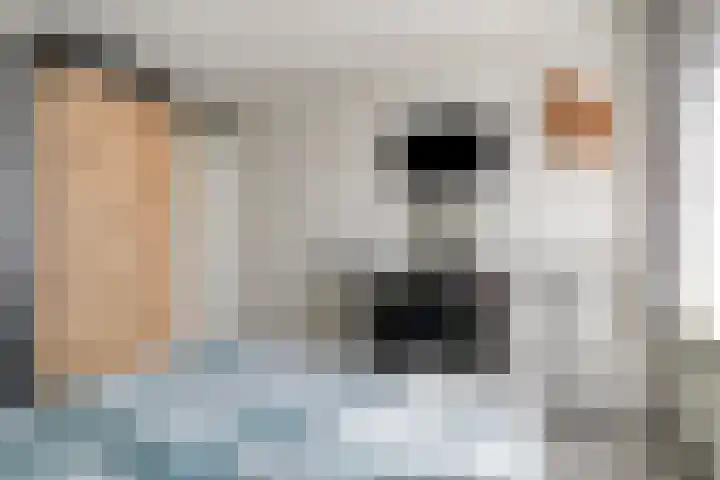 Buitendijklaan 110 Leiderdorp thumbnail 24