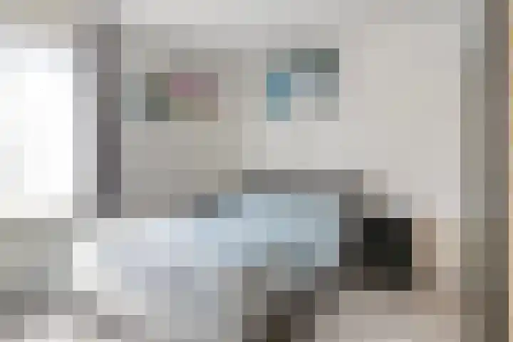 Buitendijklaan 110 Leiderdorp thumbnail 26