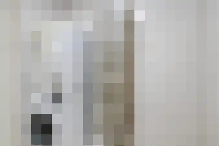 Buitendijklaan 110 Leiderdorp thumbnail 30
