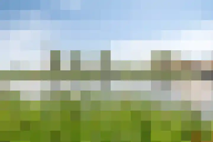 Buitendijklaan 110 Leiderdorp thumbnail 39