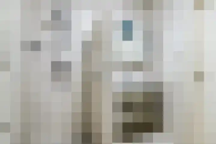 Buitendijklaan 110 Leiderdorp thumbnail 4
