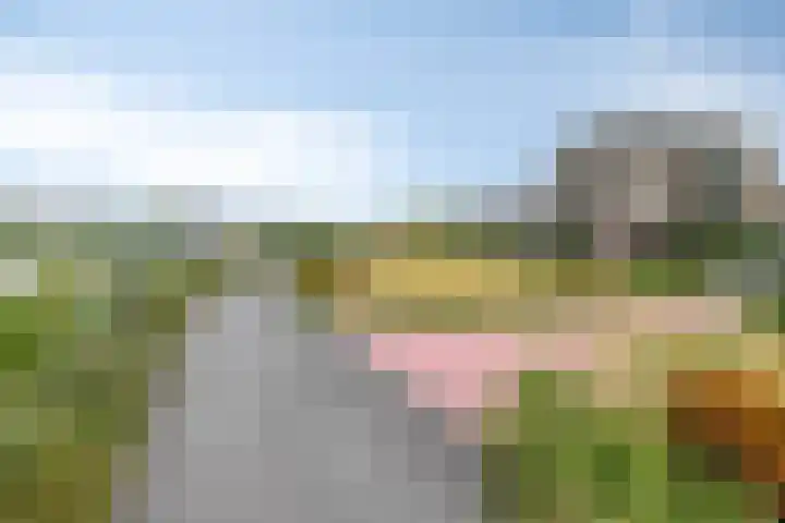 Buitendijklaan 110 Leiderdorp thumbnail 40