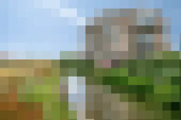 Buitendijklaan 110 Leiderdorp thumbnail 41