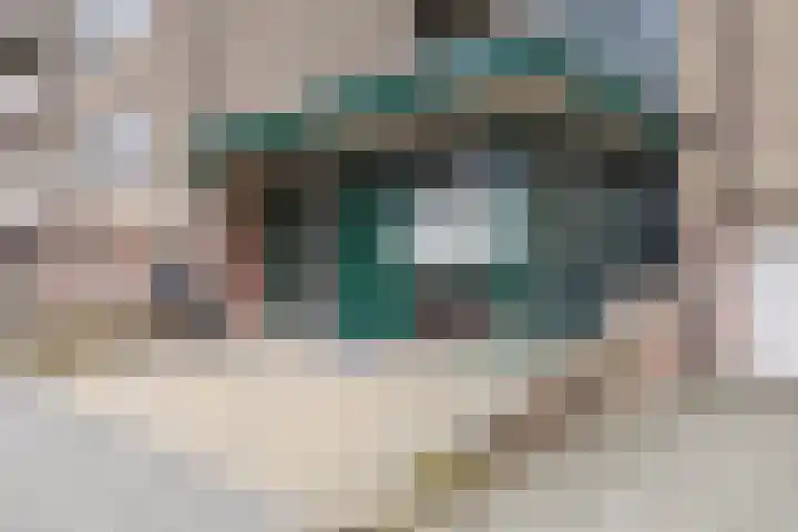 Buitendijklaan 120 Leiderdorp thumbnail 7