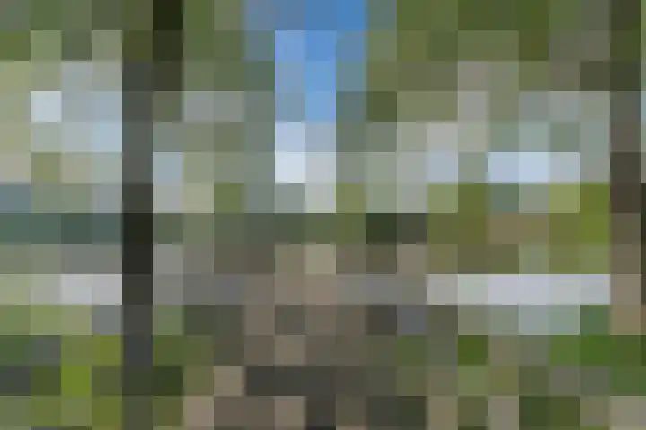 Buitendijklaan 41 Leiderdorp thumbnail 50