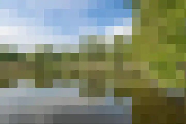 Buitendijklaan 41 Leiderdorp thumbnail 51