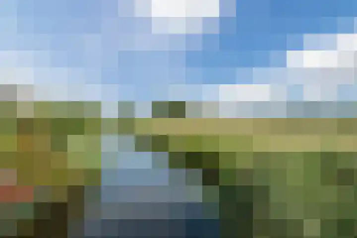 Buitendijklaan 41 Leiderdorp thumbnail 53