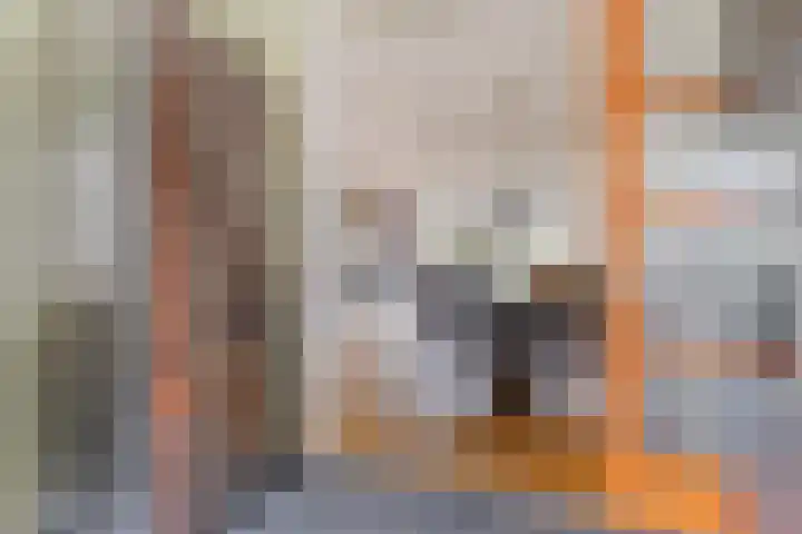Buitendijklaan 67 Leiderdorp thumbnail 15