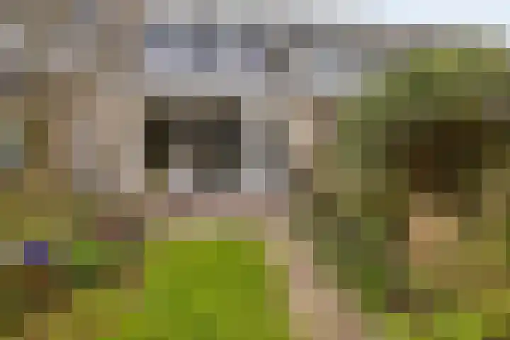 Buitendijklaan 67 Leiderdorp thumbnail 17