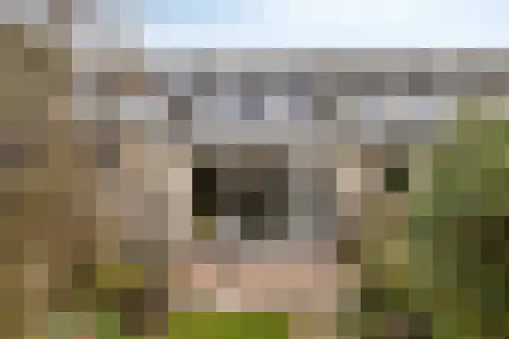 Buitendijklaan 67 Leiderdorp thumbnail 18